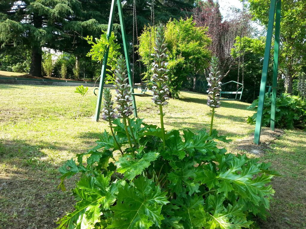 Basisa Bed&Breakfast San Lazzaro di Savena Exterior foto